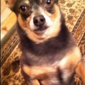 Meet your Posher, Lee